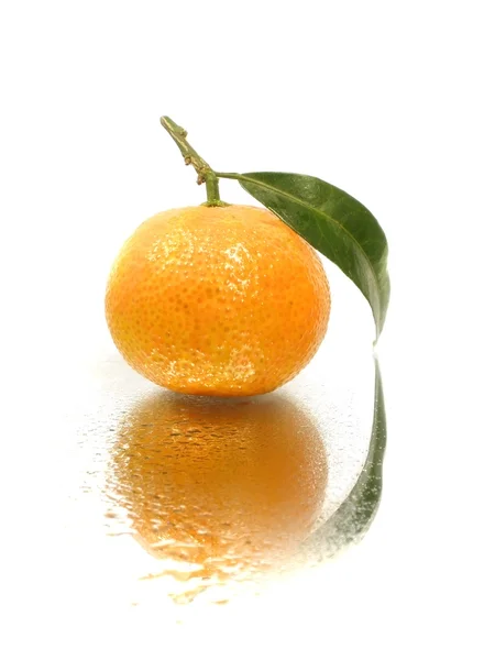 Mandarina con licencia — Foto de Stock