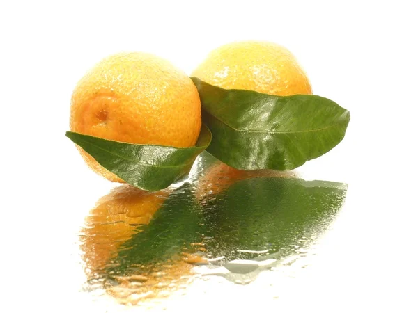 Tangerine met bladeren — Stockfoto