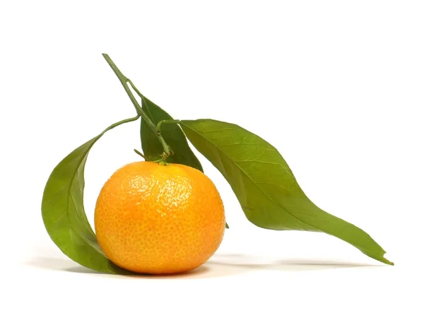 Tangerine met bladeren Rechtenvrije Stockfoto's