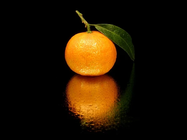 Tangerine met bladeren Stockafbeelding