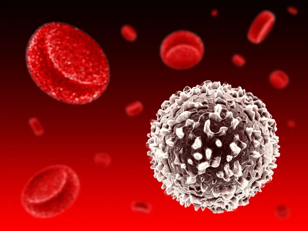 White blood cell — Stock Photo, Image