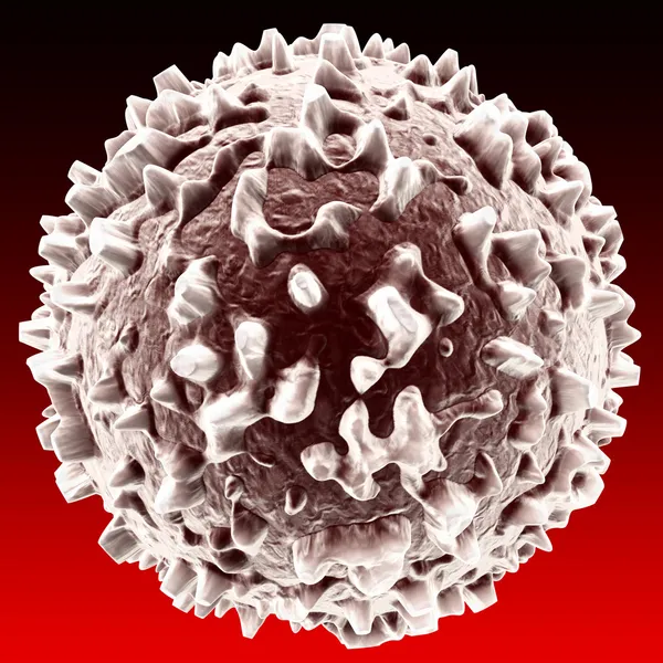 Белые кровяные клетки 2 — стоковое фото