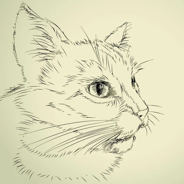 Desenho gato — Vetor de Stock