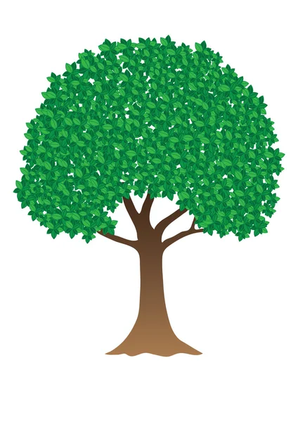 stock vector Green tree