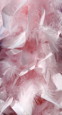 Pink feathers clipart