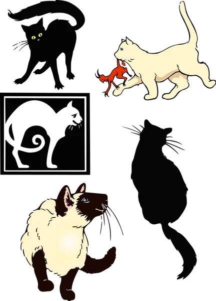 Trozos de gatos — Archivo Imágenes Vectoriales