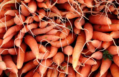 Organic carrots clipart