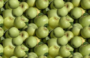 Seamless background of white MacIntosh apples (grown only in New Mexico, and frequently mistaken for granny smith) clipart