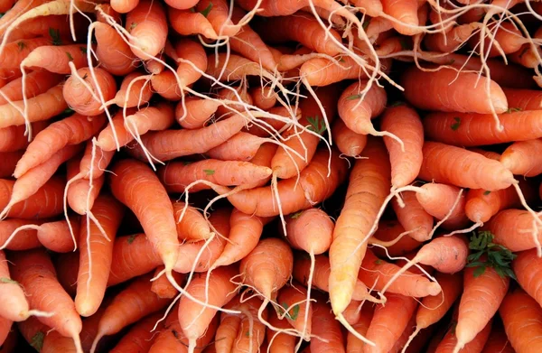 Organic carrots — Stock Photo, Image
