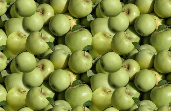 stock image Seamless background of white MacIntosh apples (grown only in New Mexico, and frequently mistaken for granny smith)