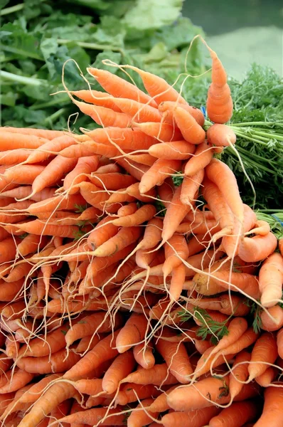 Organic Carrots Grower Market — Stock Photo, Image