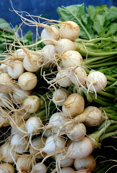 Organic Turnips Local Grower Market — Stock Photo, Image