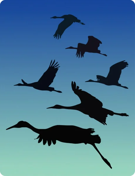 在飞行中的沙丘鹤 — 图库矢量图片