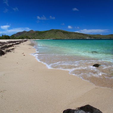 saint kitts üzerinde güzel bir plaj