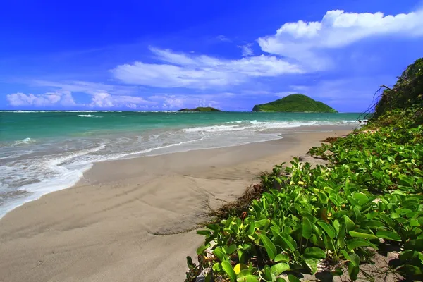 Beach on Saint Lucia — Stock Photo, Image