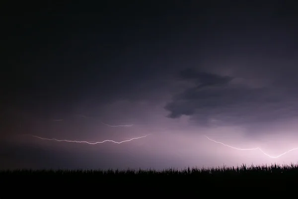 Lightning Streaks Sky Summer Thunderstorm Illinois — Stock Photo, Image