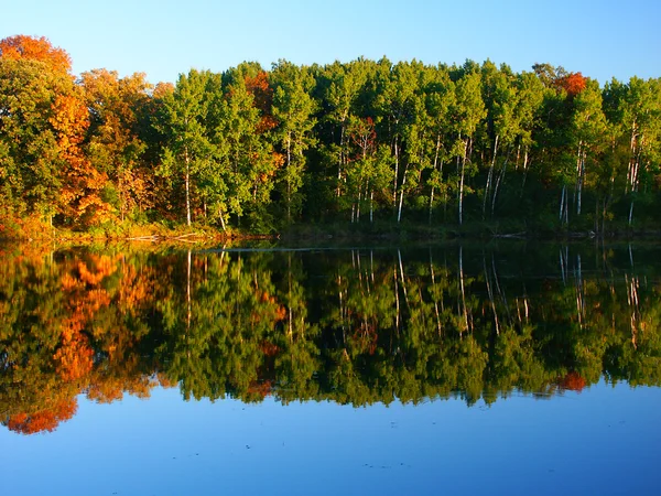 Beautiful Fall Colors Reflect Pond Kettle Moraine State Forest Wisconsin — Stock Photo, Image
