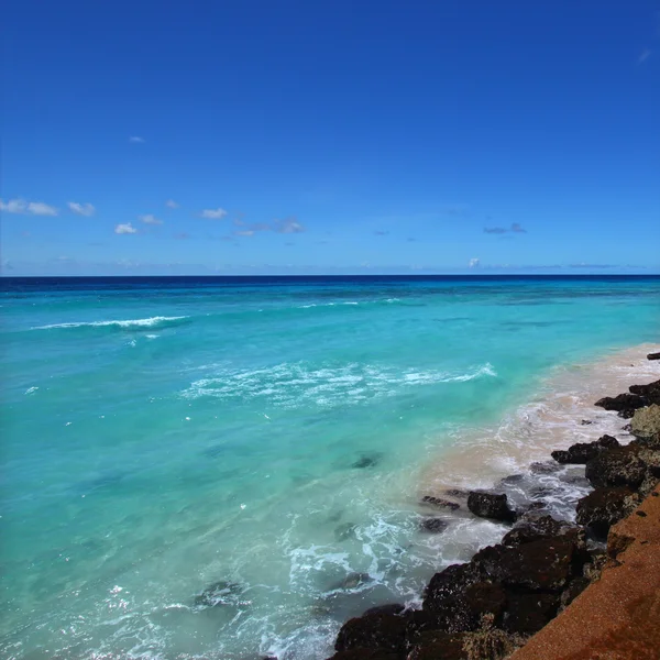 바베이도스에서 대서양의 — 스톡 사진