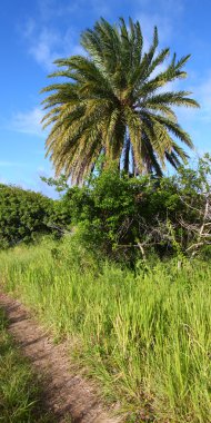 Saint kitts peyzaj