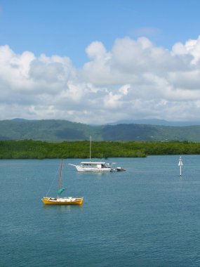 Coast at Port Douglas, Queensland clipart