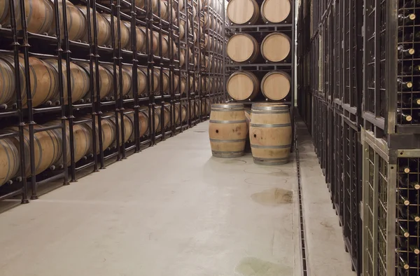 Barrels Bottles Wine Cellar — Stock Photo, Image