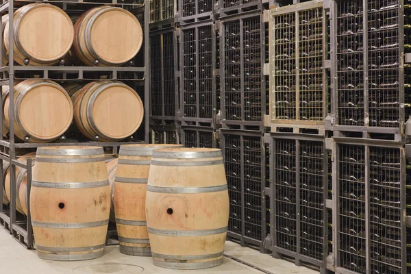 Barrels Bottles Wine Cellar — Stock Photo, Image