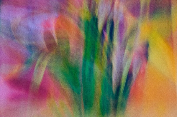 Цветочный сад современного искусства
