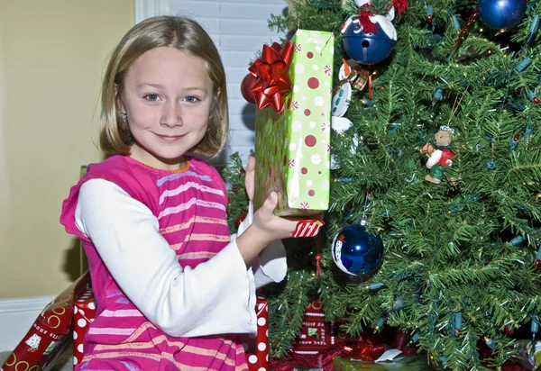 年轻漂亮的姑娘微笑着与她在她的手的圣诞礼物 图库照片