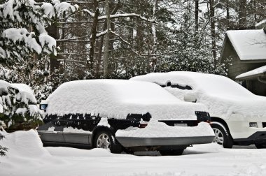 Cars covered with snow, unable to be used. clipart