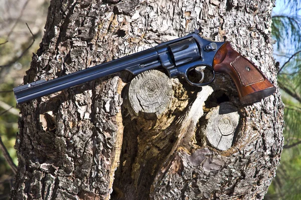 Een Revolver Met Een Lange Vat Weergegeven Een Boom — Stockfoto