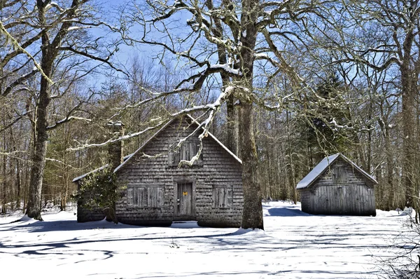 Oude Gebouwen Van Bosbouw Winterlandschap Wilson Likken Rangerkwartier Noord Carolina — Stockfoto