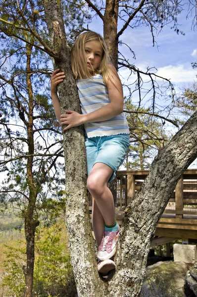 Lány egy fa — Stock Fotó