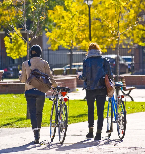 stock image Bicyles