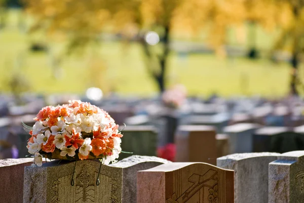 Montreal begraafplaats — Stockfoto