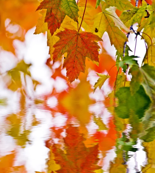 stock image Water background