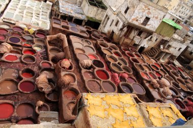 Tannery in Fez, Morocco clipart