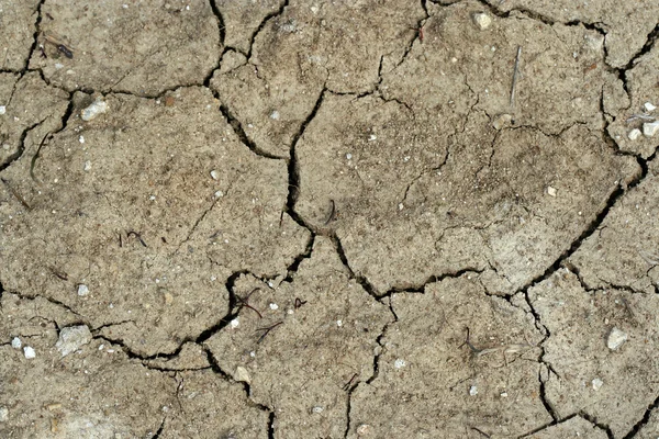 Close Dried Summer Soil — Stock Photo, Image