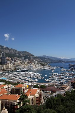 Monte carlo