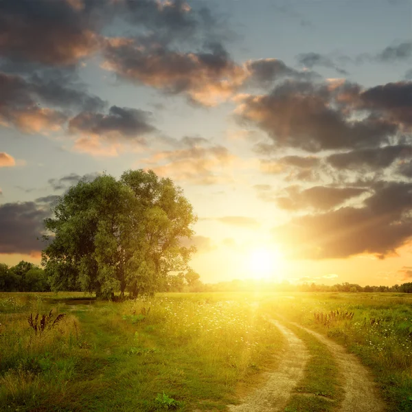 Field and dirt road to sunset — Stock Photo, Image