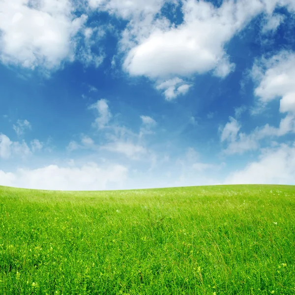 Field and sky with fluffy clouds — Stock Photo, Image