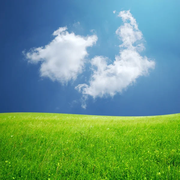 Fluffiga moln och grönt fält — Stockfoto