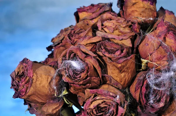 Bouquet effrayant — Photo