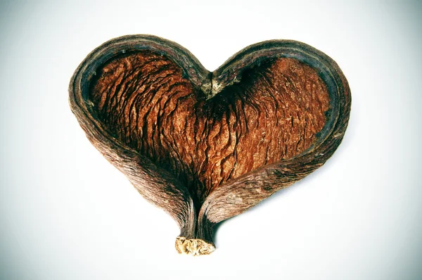 Cáscara en forma de corazón — Foto de Stock