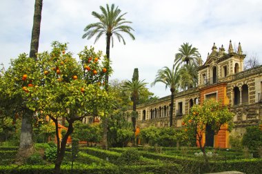 Alcazar of Seville clipart