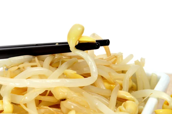 Soybean sprouts — Stock Photo, Image