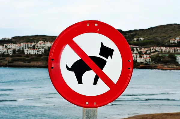 Geen honden toegestaan verkeersbord — Stockfoto