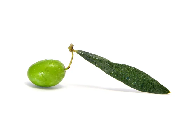 Olive with leaf — Stock Photo, Image