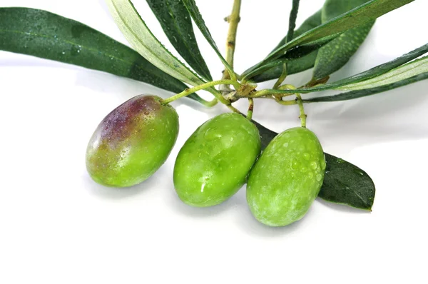 Olives bunch — Stock Photo, Image
