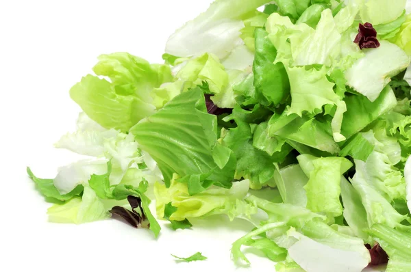 Lettuce mix — Stock Photo, Image