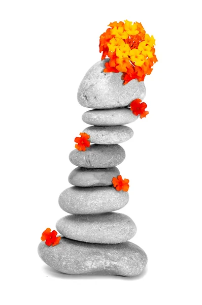 Zen kamienie i kwiaty — Zdjęcie stockowe
